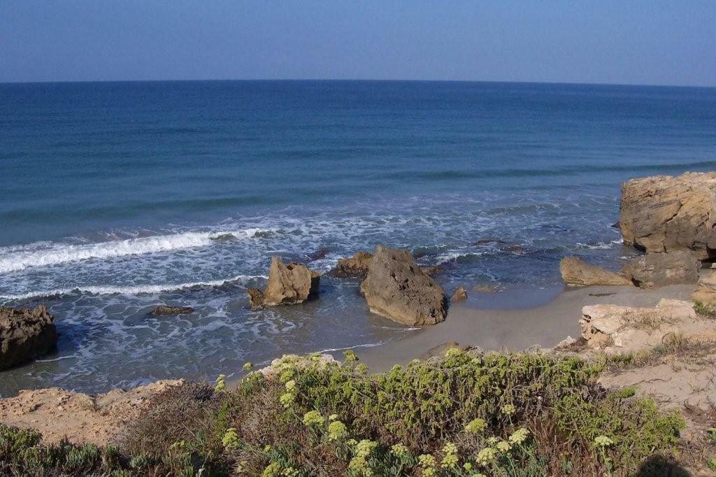 Holiday home Monolocale A 200 Metri Dal Mare